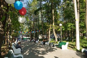 аллея в парке Олега Степанова